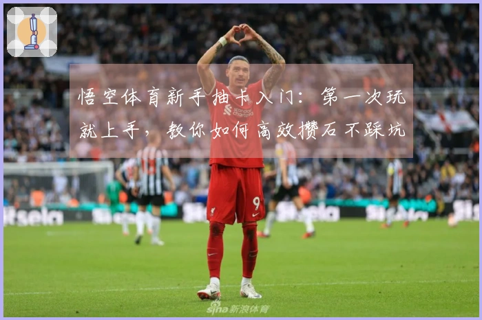 悟空体育新手抽卡入门：第一次玩就上手，教你如何高效攒石不踩坑