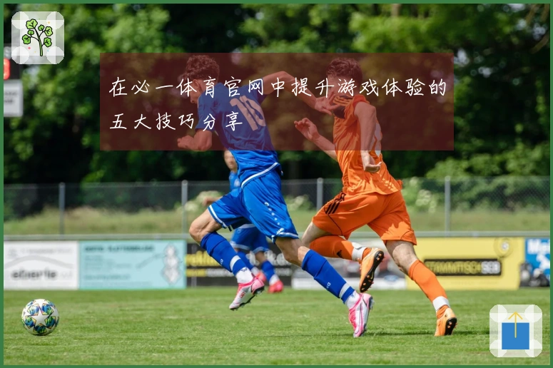 在必一体育官网中提升游戏体验的五大技巧分享